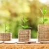 money, profit, finance, business, return, yield, financial, cash, currency, investment, banking, wealth, coin, economy, success, loan, salary, rich, credit, payment, savings, save, deposit, growth, income